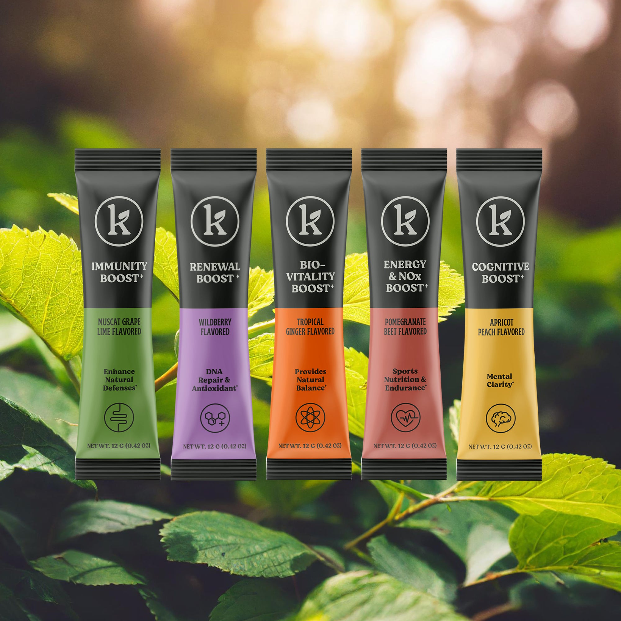 All-in-One Bundle - Comprehensive Support for Optimal Health