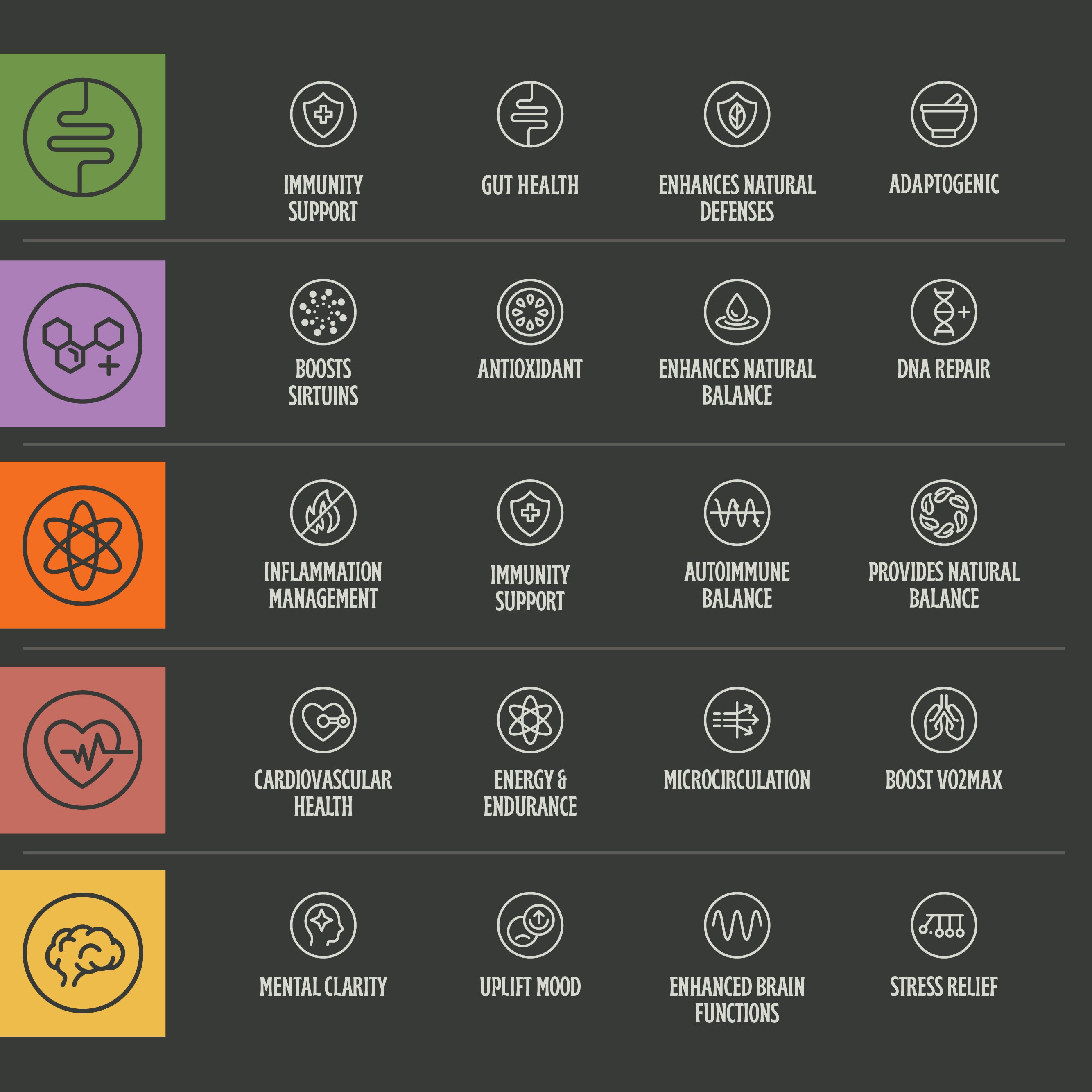 All-in-One Bundle - Comprehensive Support for Optimal Health