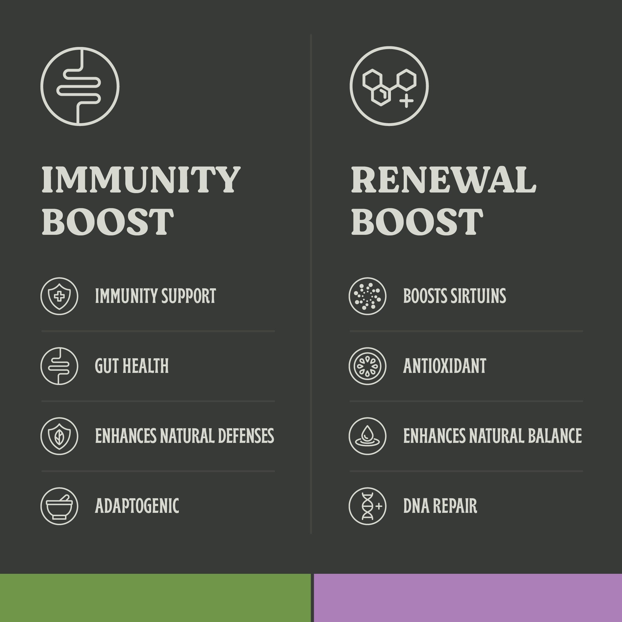 Immunity Essential Bundle - Immune System Support and DNA Repair