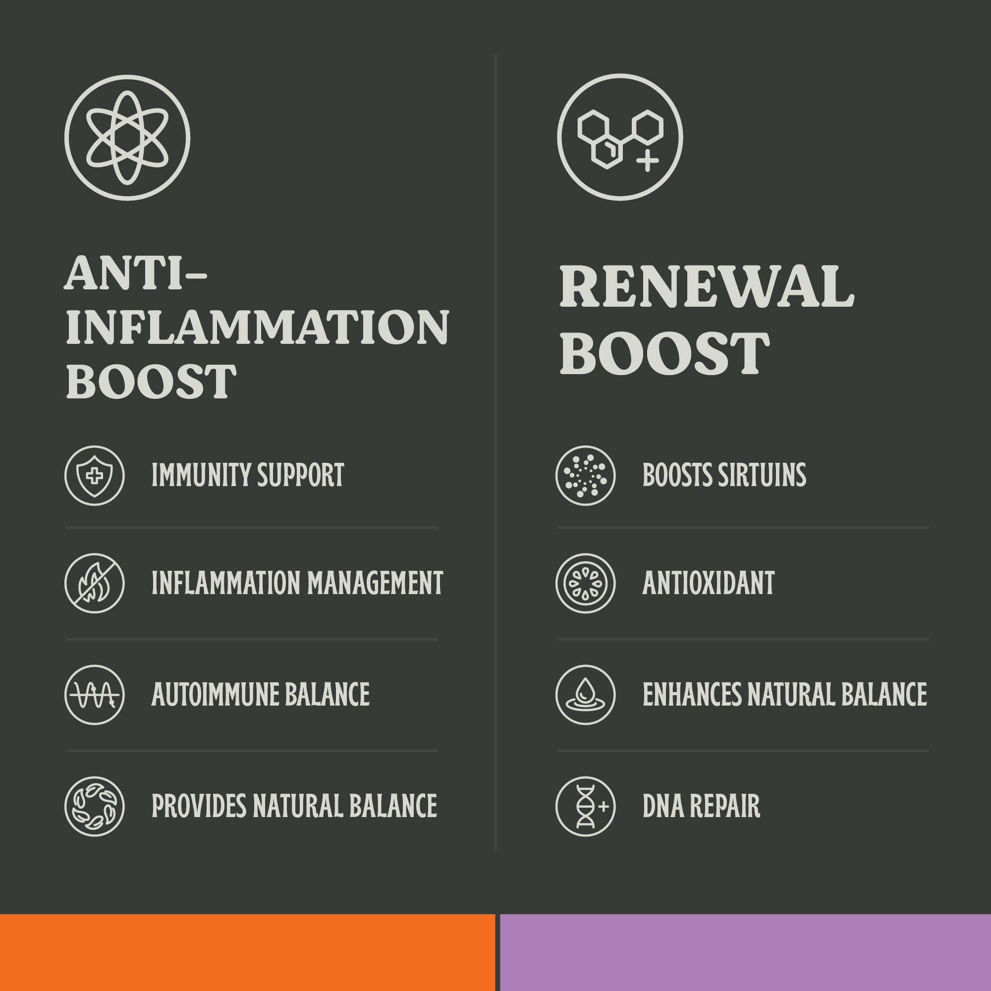 Inflammation Support Bundle - DNA Repair & Anti-Inflammation