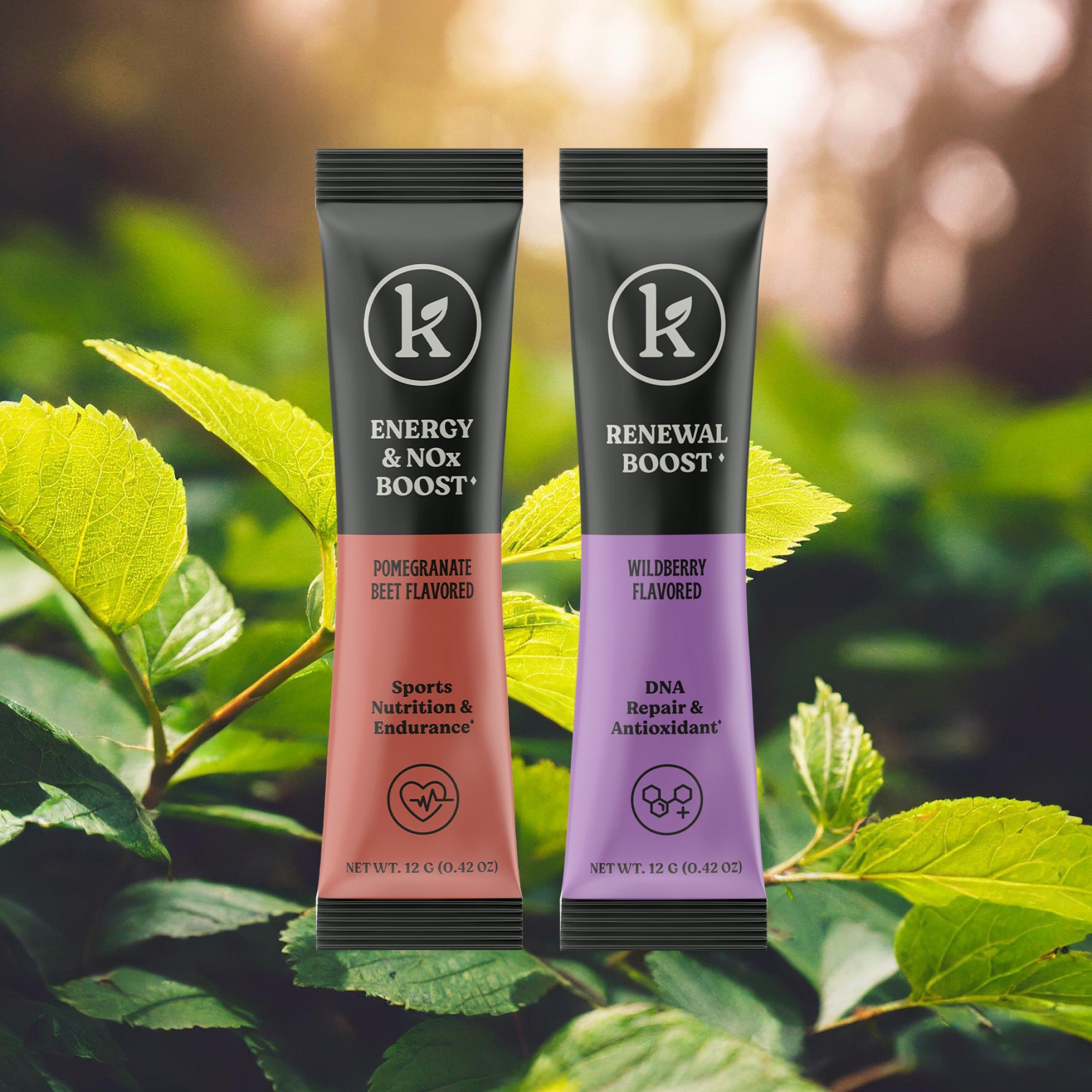 Energy Essential Bundle - NOx Boost and Recovery