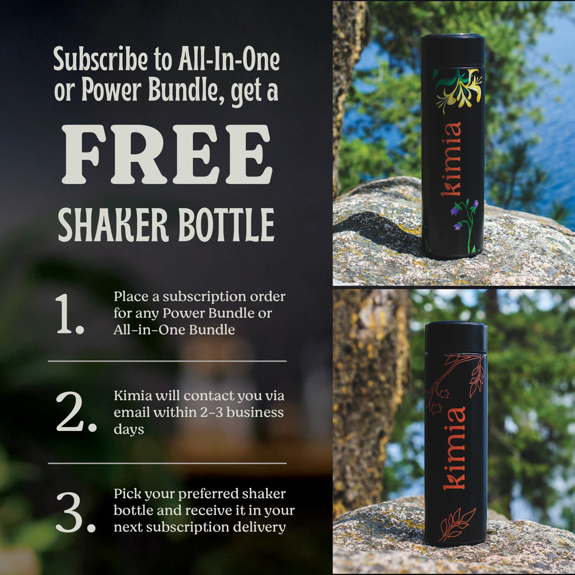 All-in-One Bundle - Comprehensive Support for Optimal Health