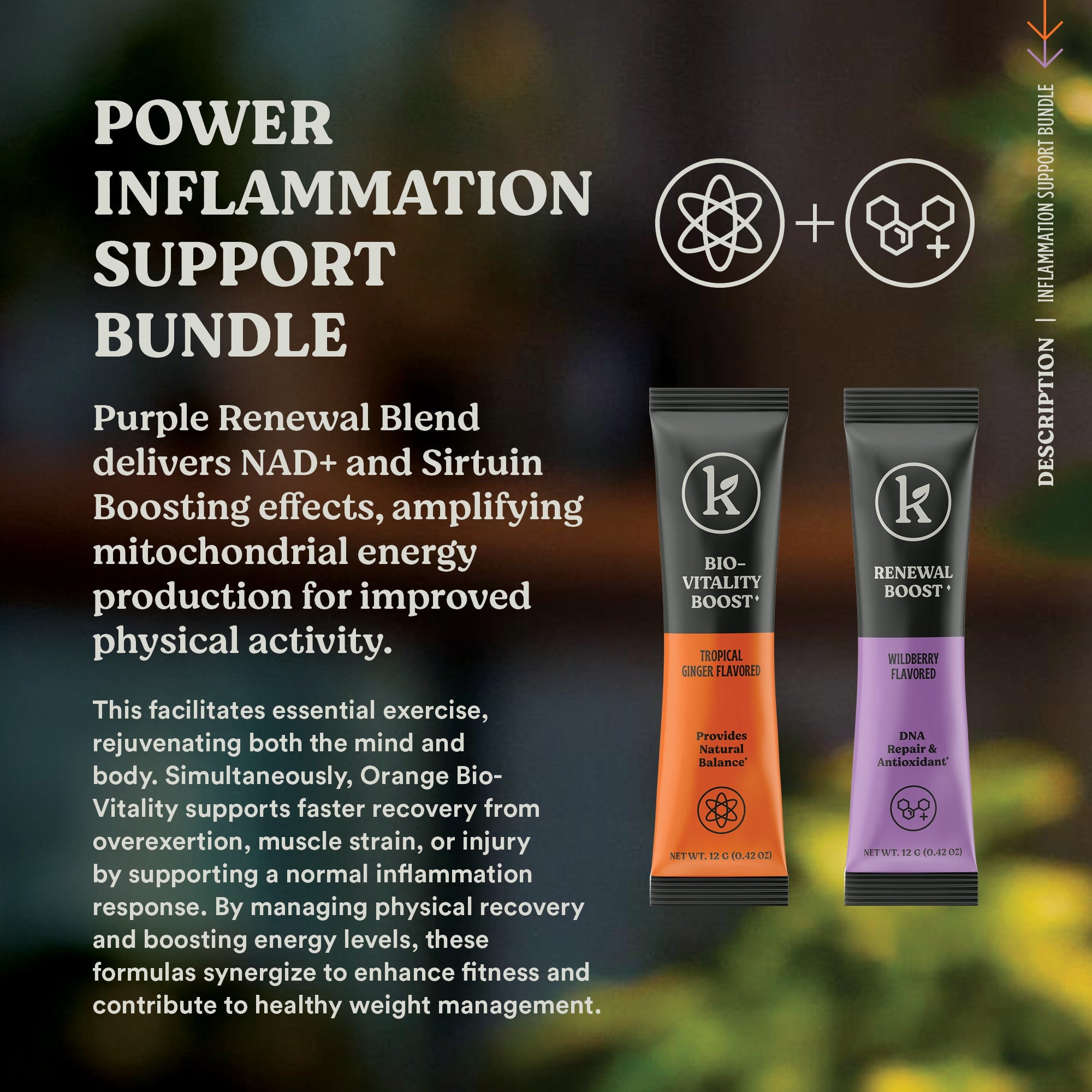 Inflammation Support Power Bundle - Energy Boost & Recovery Powder
