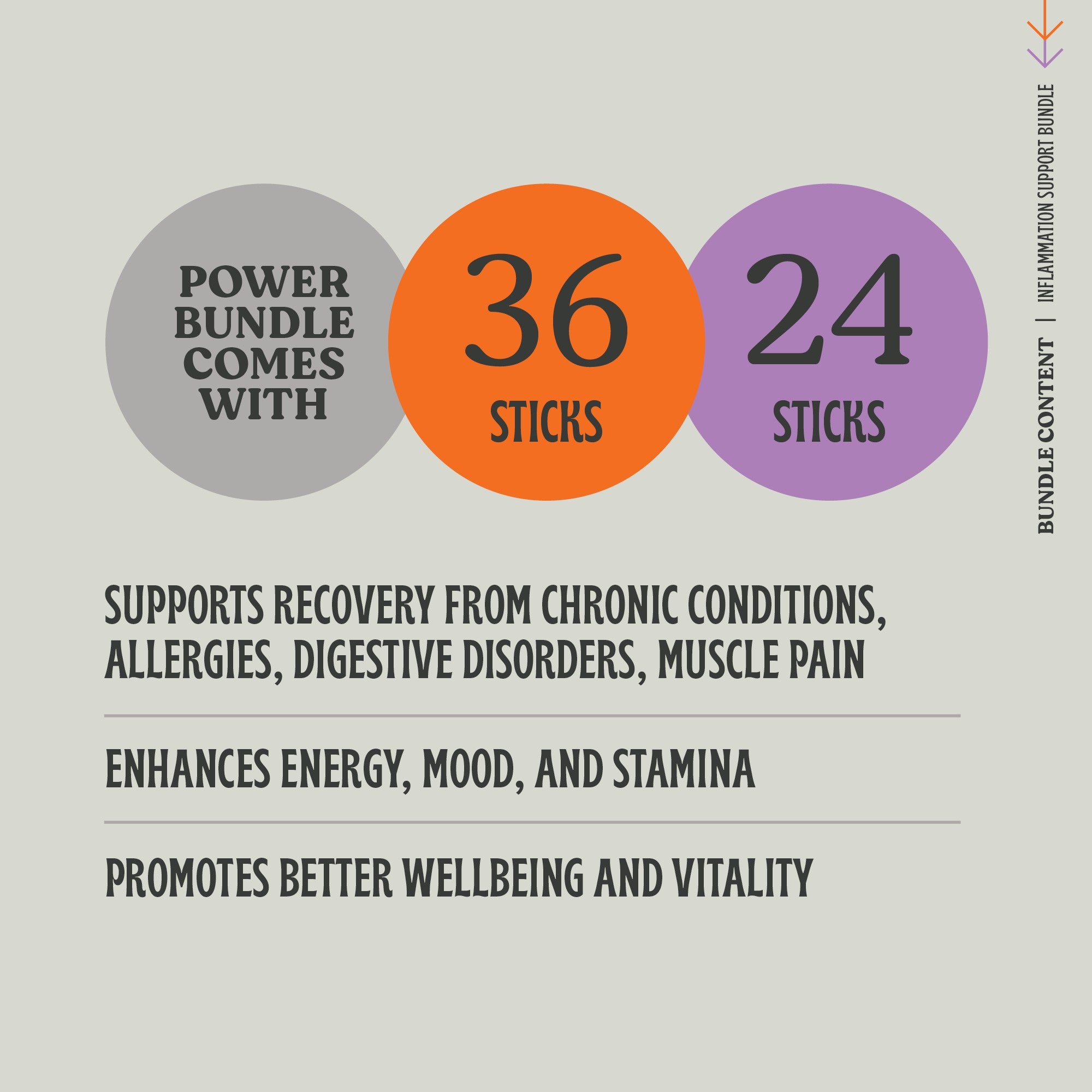 Inflammation Support Power Bundle - Energy Boost & Recovery Powder