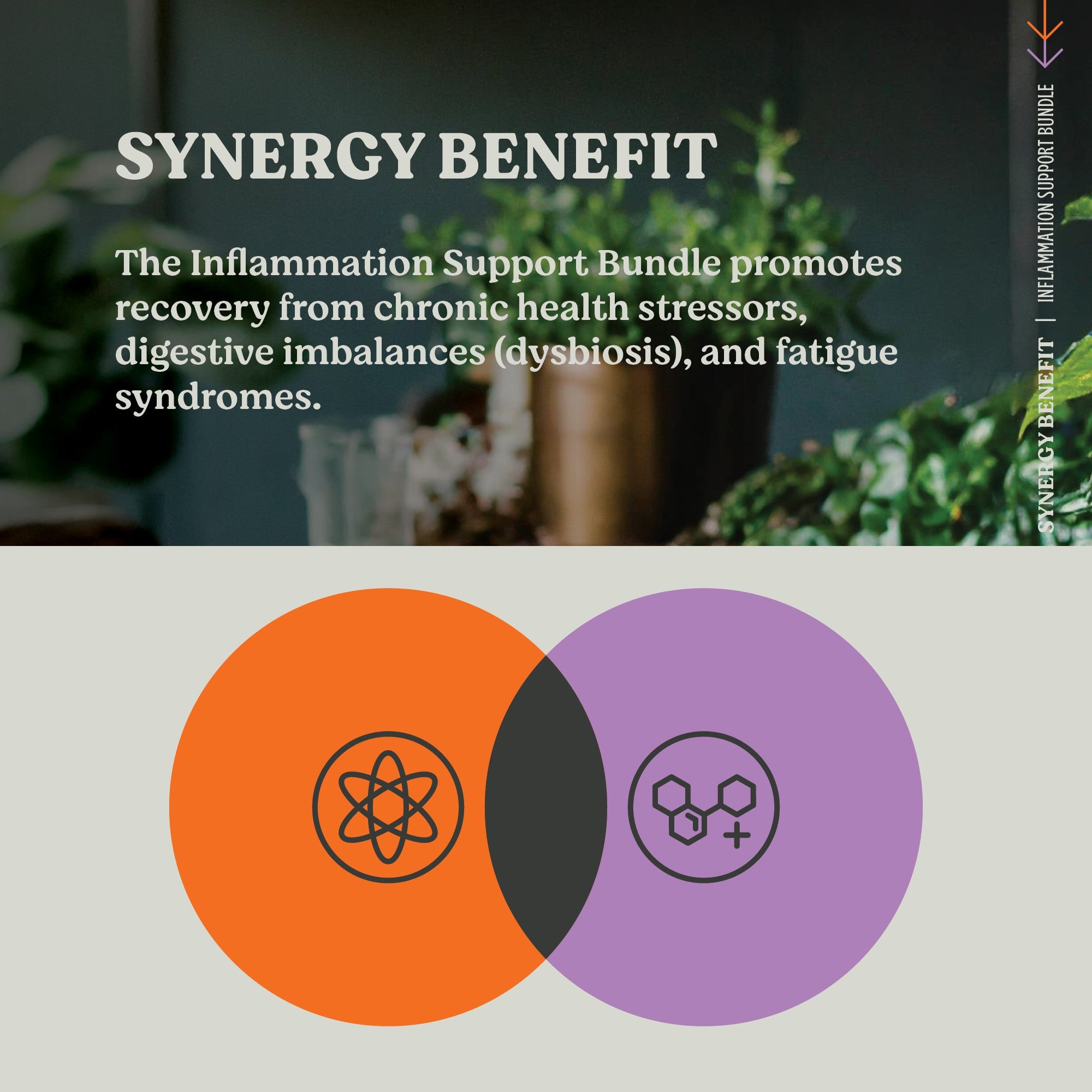 Inflammation Support Power Bundle - Energy Boost & Recovery Powder