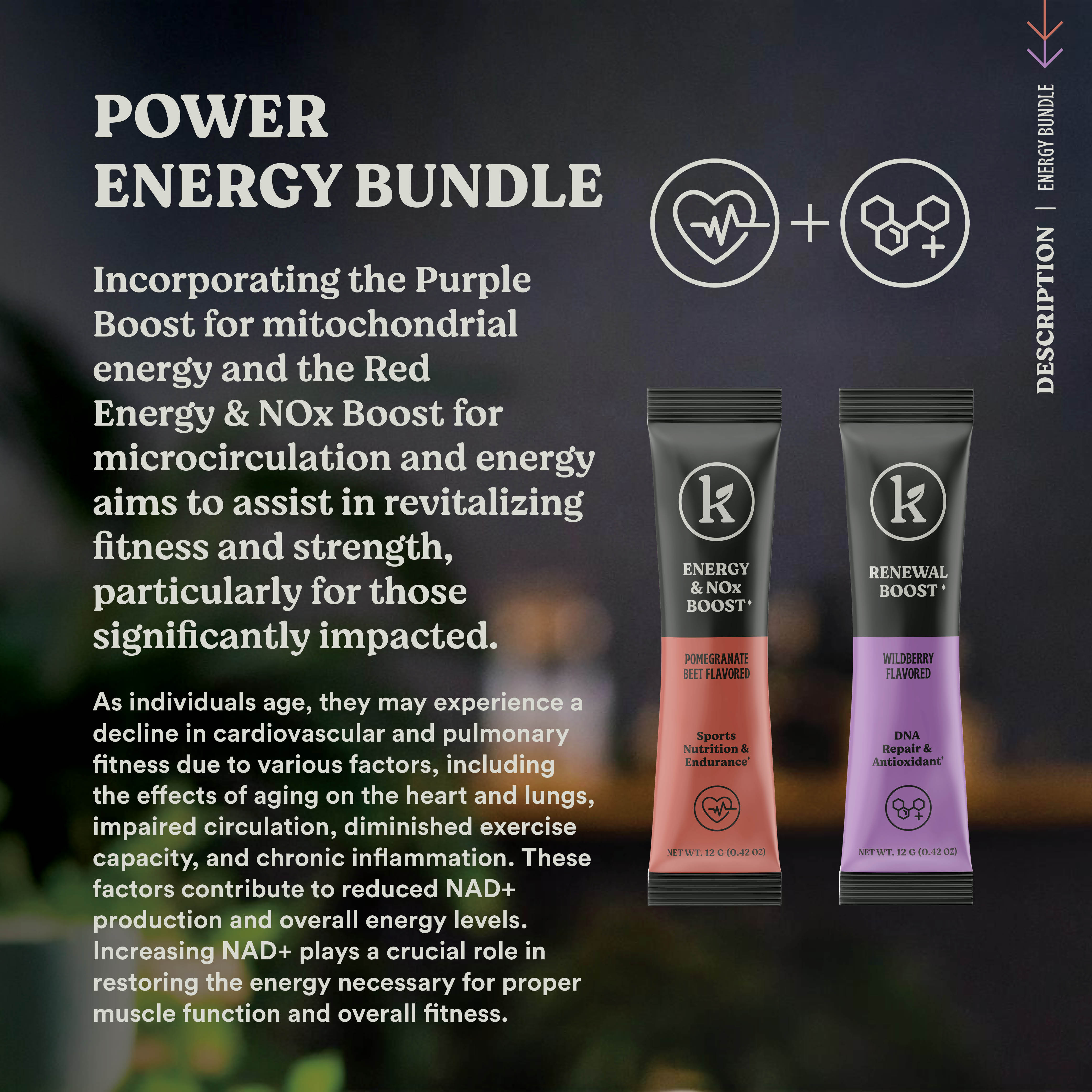 Energy Essential Bundle - NOx Boost and Recovery