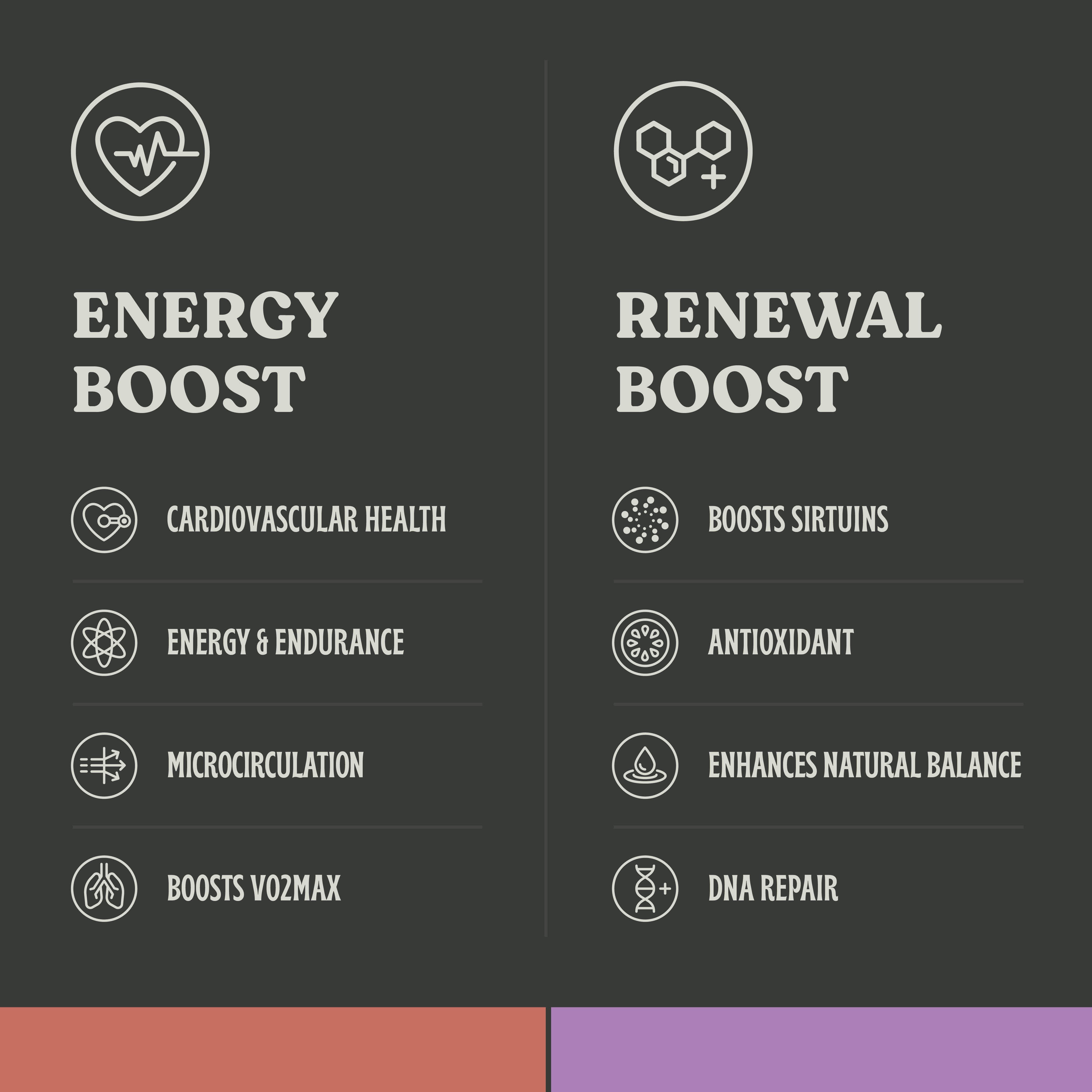 Energy Essential Bundle - NOx Boost and Recovery