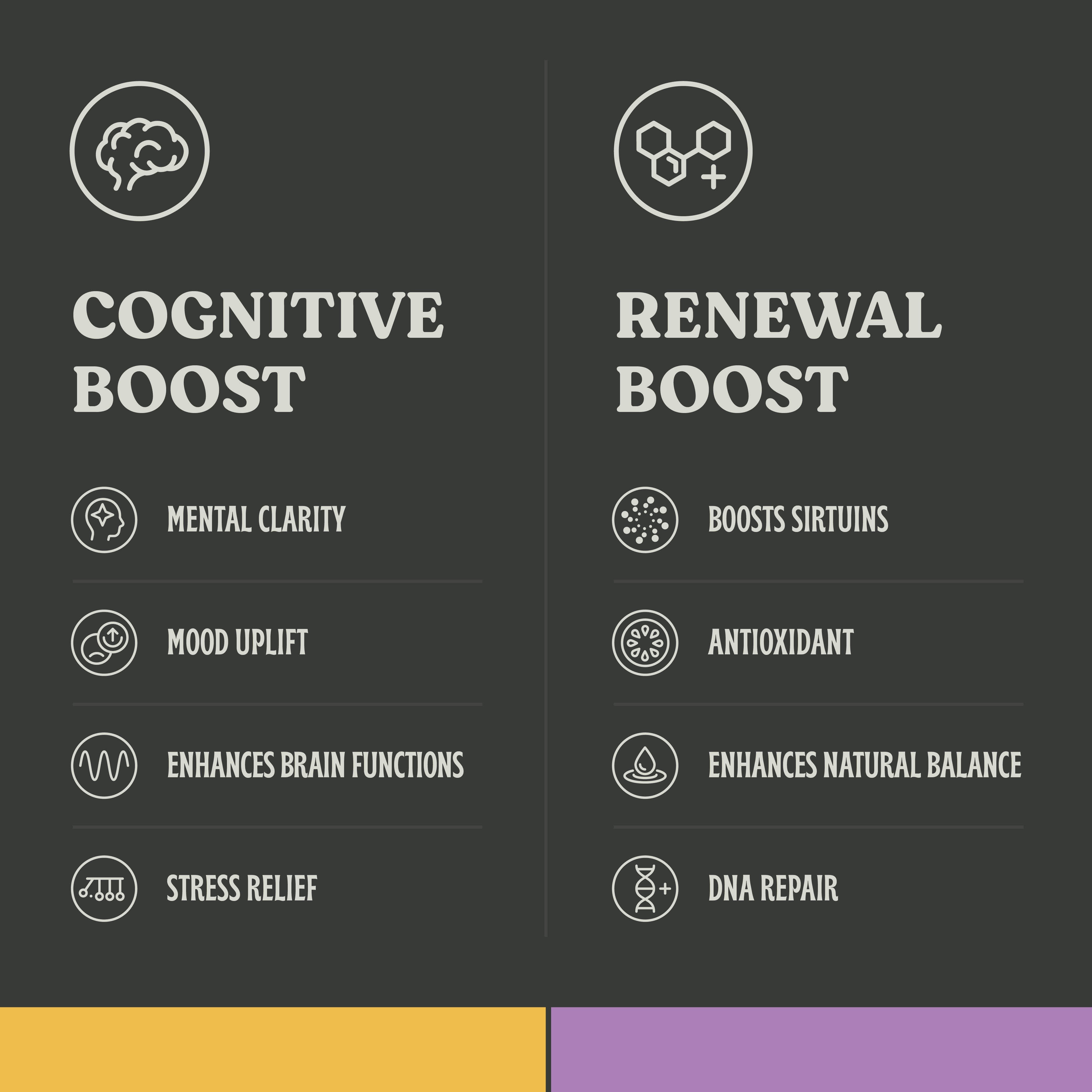 Mood Uplift Power Bundle - Rapid Focus and Elevated Mood
