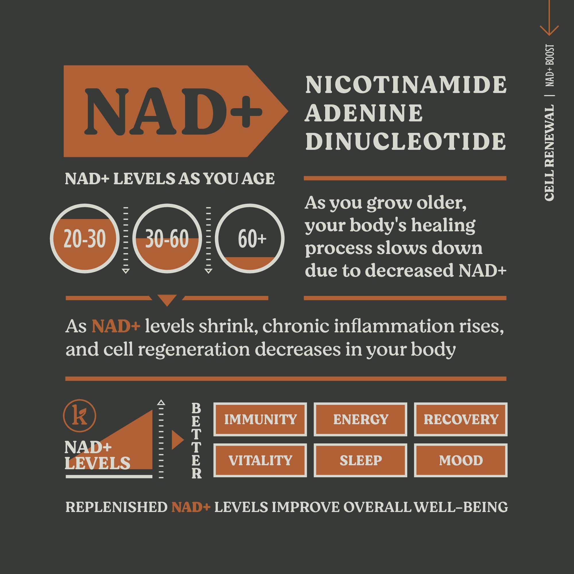 Renewal Boost - NAD+ Powder – Anti-Aging Support & DNA Repair