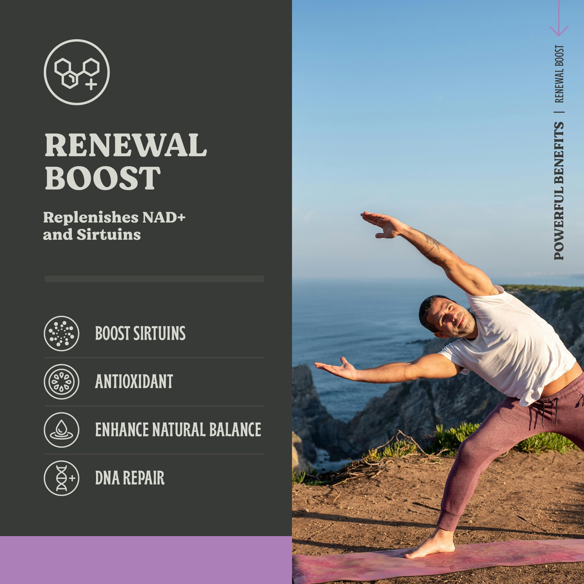 Renewal Boost - NAD+ Powder – Anti-Aging Support & DNA Repair