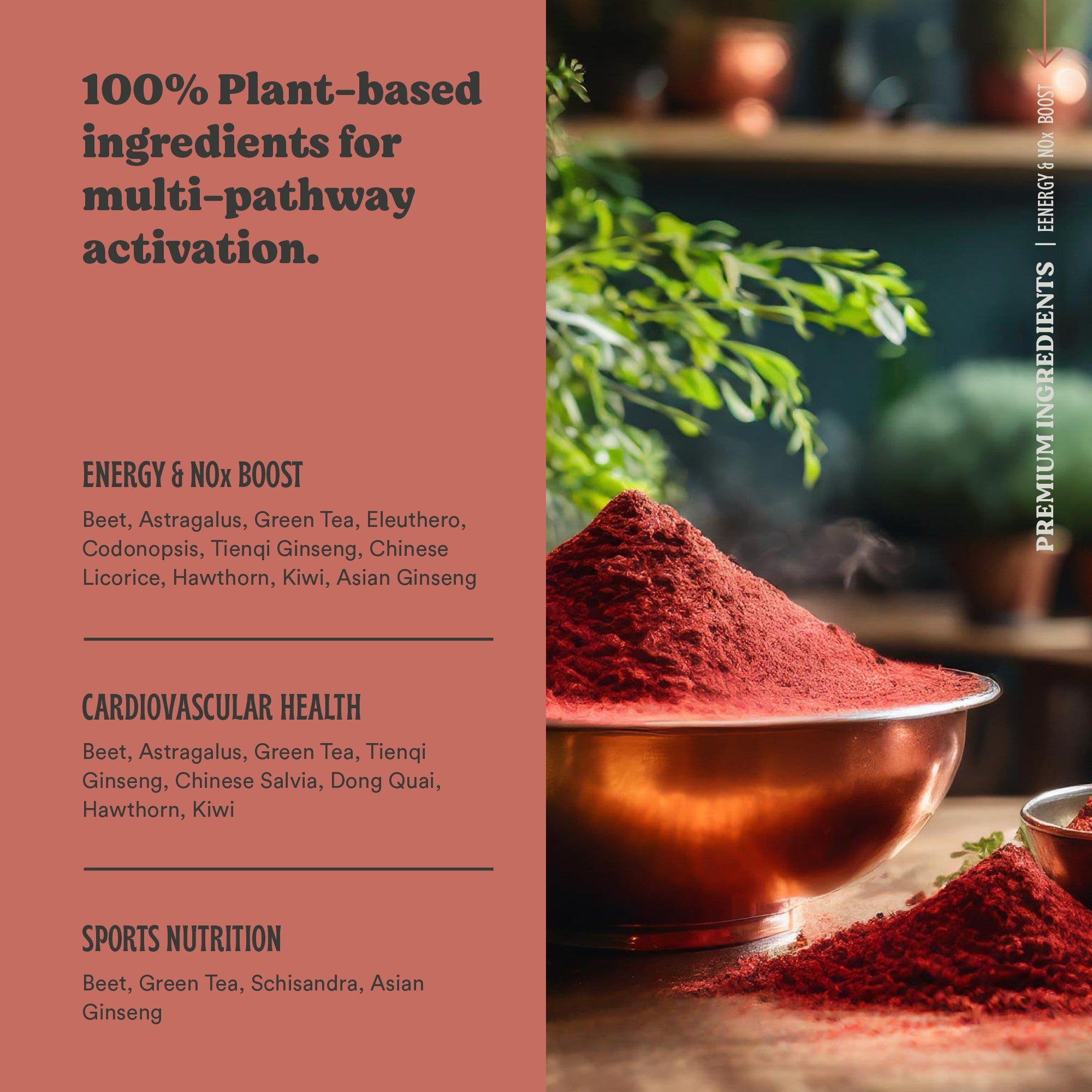 Energy Boost – Clean Pre-workout & Nitric Oxide Powder