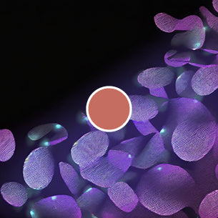 Blood Replenishment and Nourishment