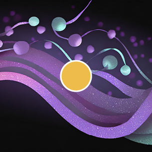 Hippocampal neurotransmitters restoration
