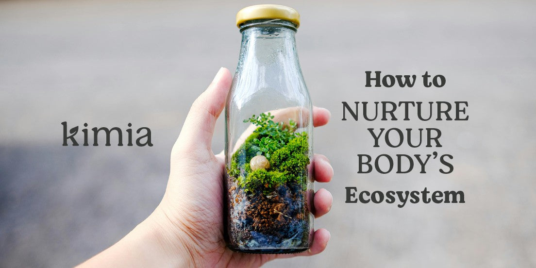 A clear bottle with soil and plants, like the human body's ecosystem, needs external supplements for nourishment.