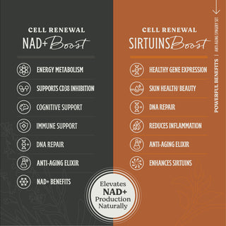 Anti-Aging Synergy Set