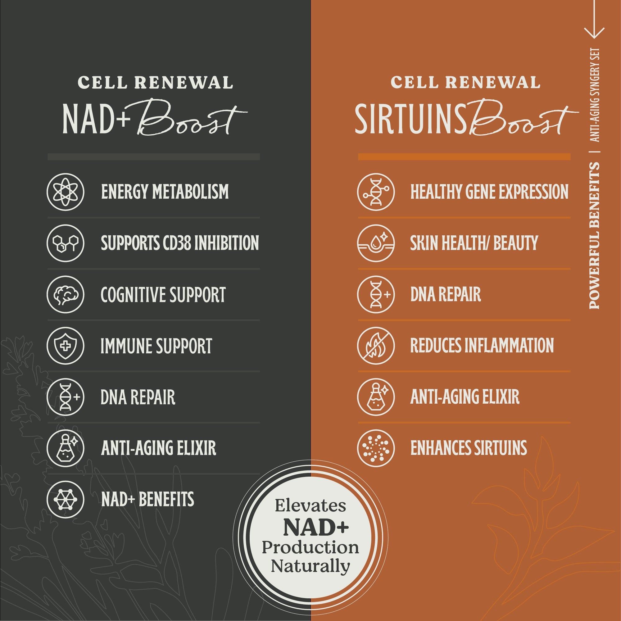 Anti-Aging Synergy Set