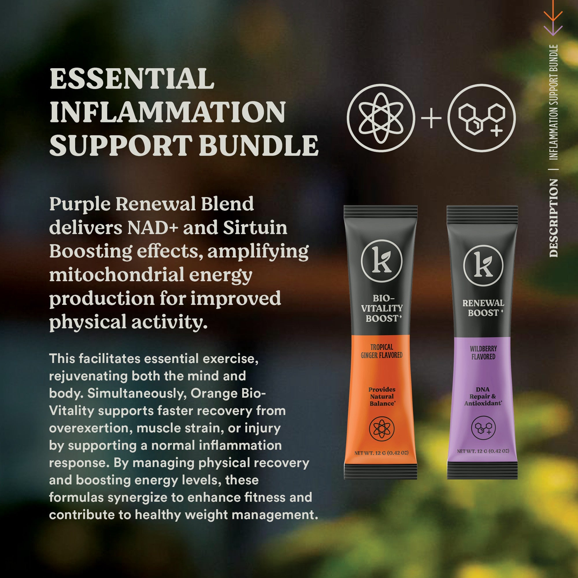 Inflammation Support Essential Bundle