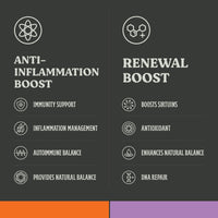 Inflammation Support Bundle - DNA Repair & Anti-Inflammation