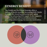 Energy Essential Bundle - NOx Boost and Recovery