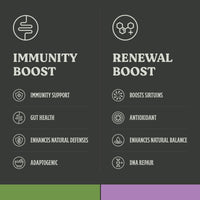 Immunity Power Bundle – Immune System Support and DNA Repair
