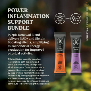 Inflammation Support Power Bundle