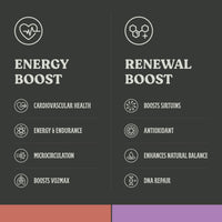 Energy Essential Bundle - NOx Boost and Recovery