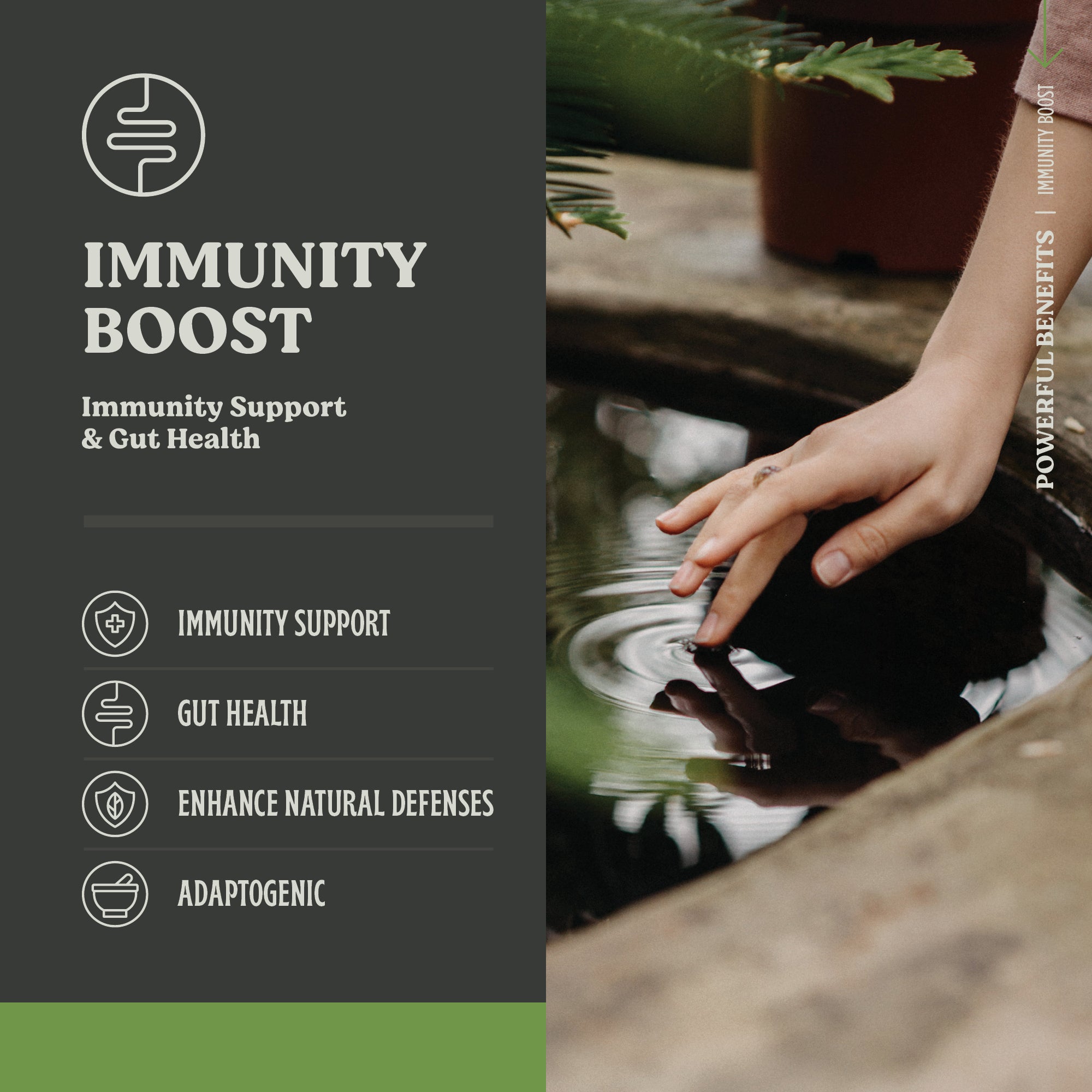 Immunity Boost