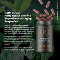 NAD+ Boost – Cellular Renewal & DNA Support Capsules