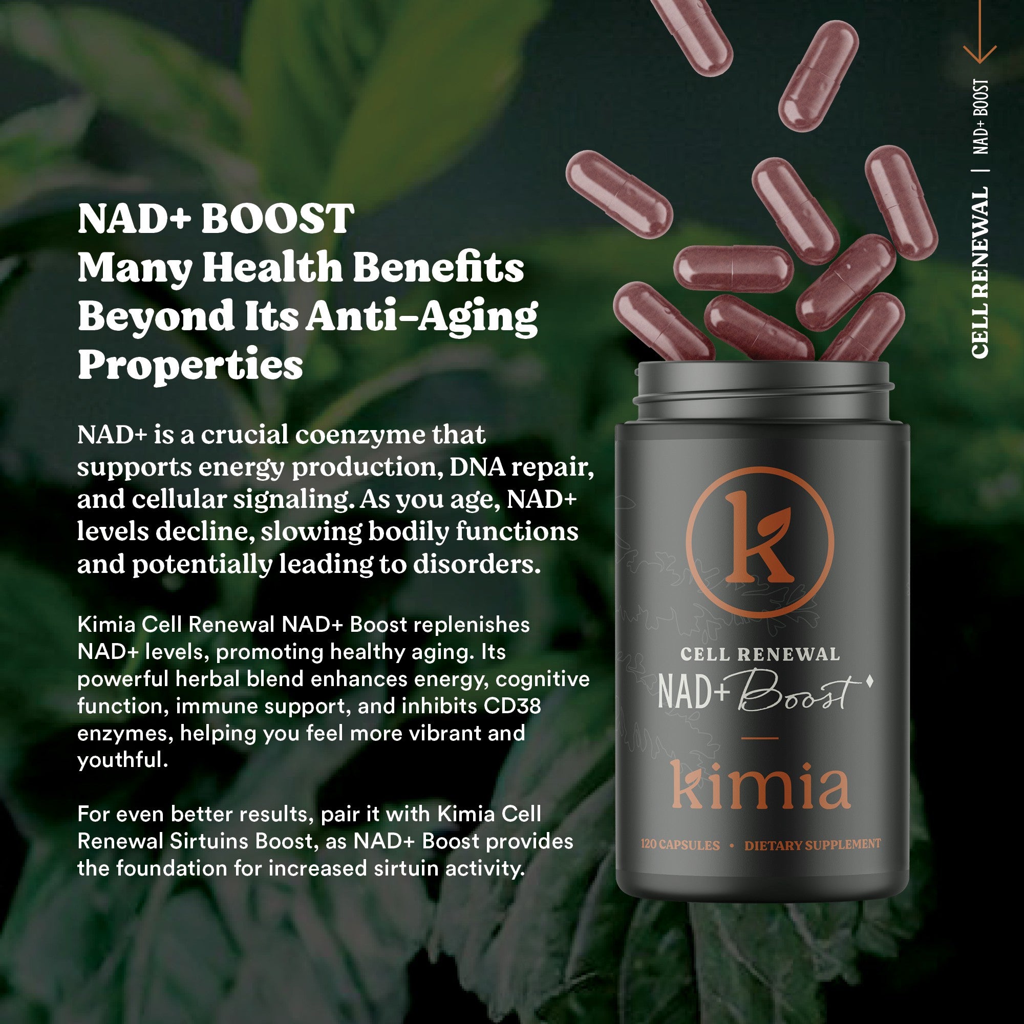 NAD+ Boost – Cellular Renewal & DNA Support Capsules
