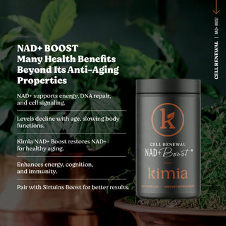 NAD+ Boost – Cellular Renewal & DNA Support Capsules