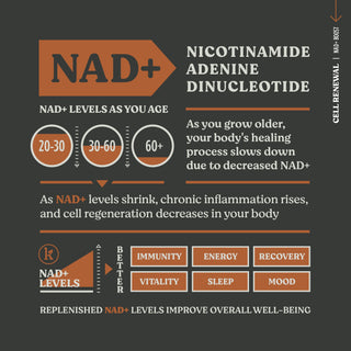 NAD+ Boost – Cellular Renewal & DNA Support Capsules