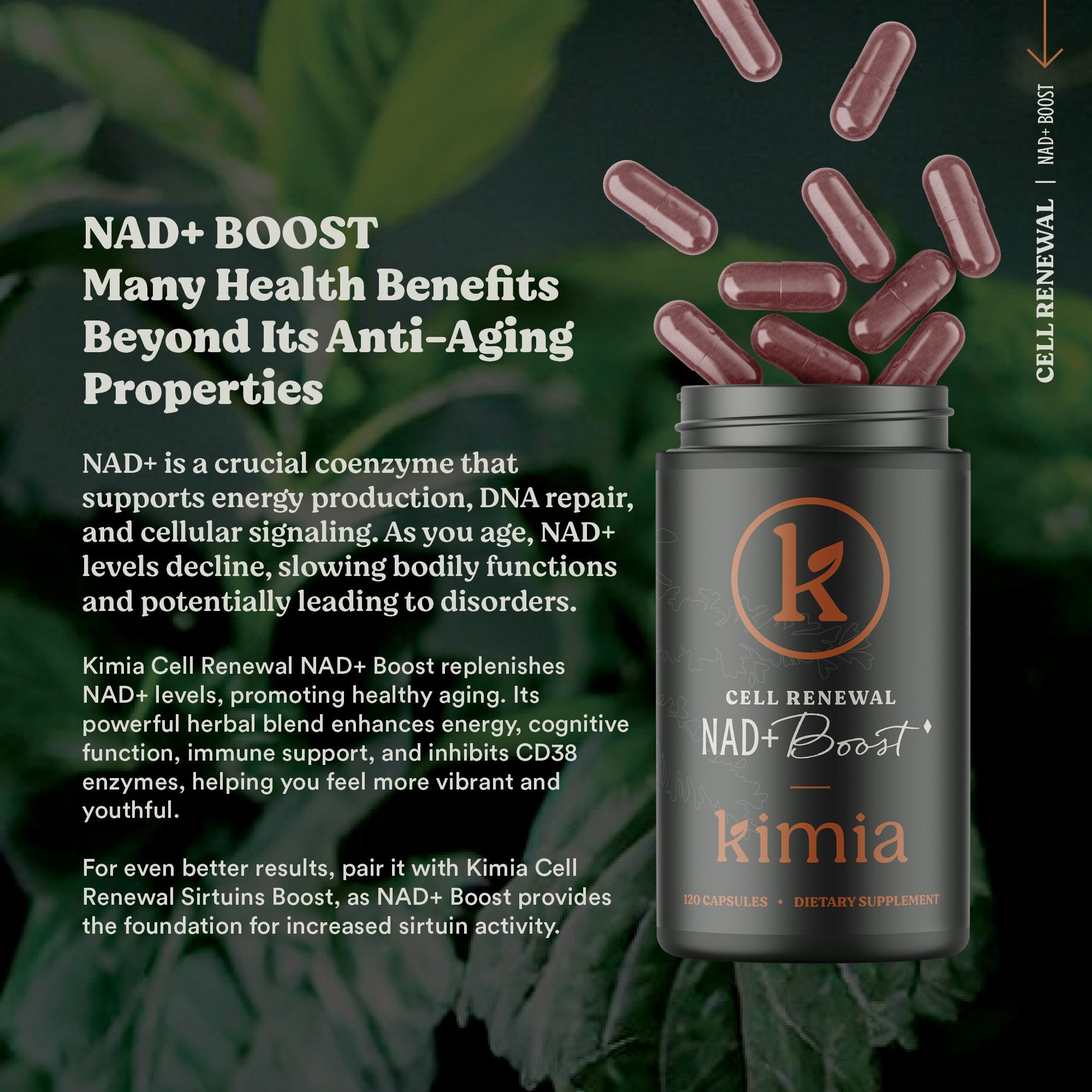 NAD+ Boost – Cellular Renewal & DNA Support Capsules