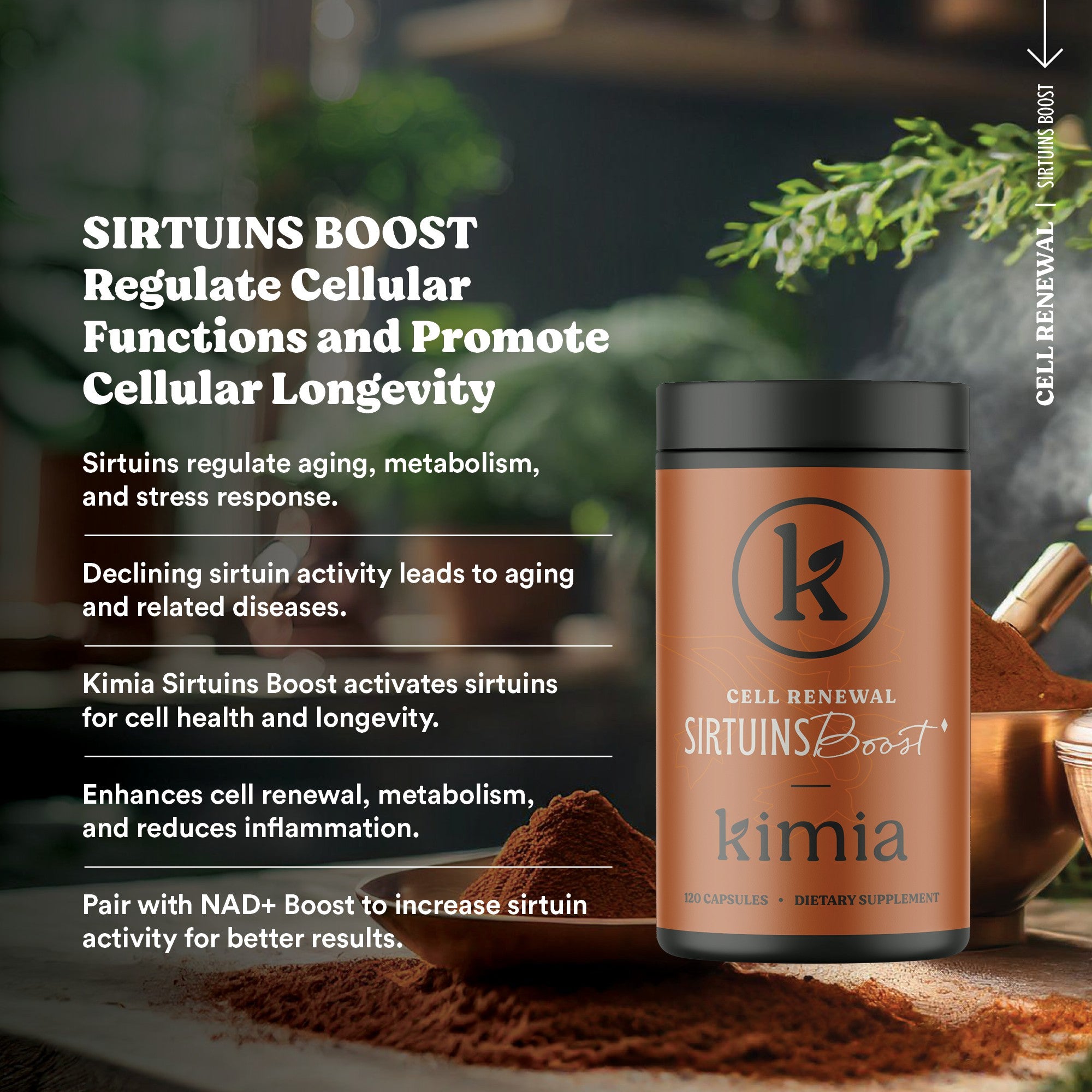 Sirtuin Boost – Cellular Health & Anti-Aging Capsules