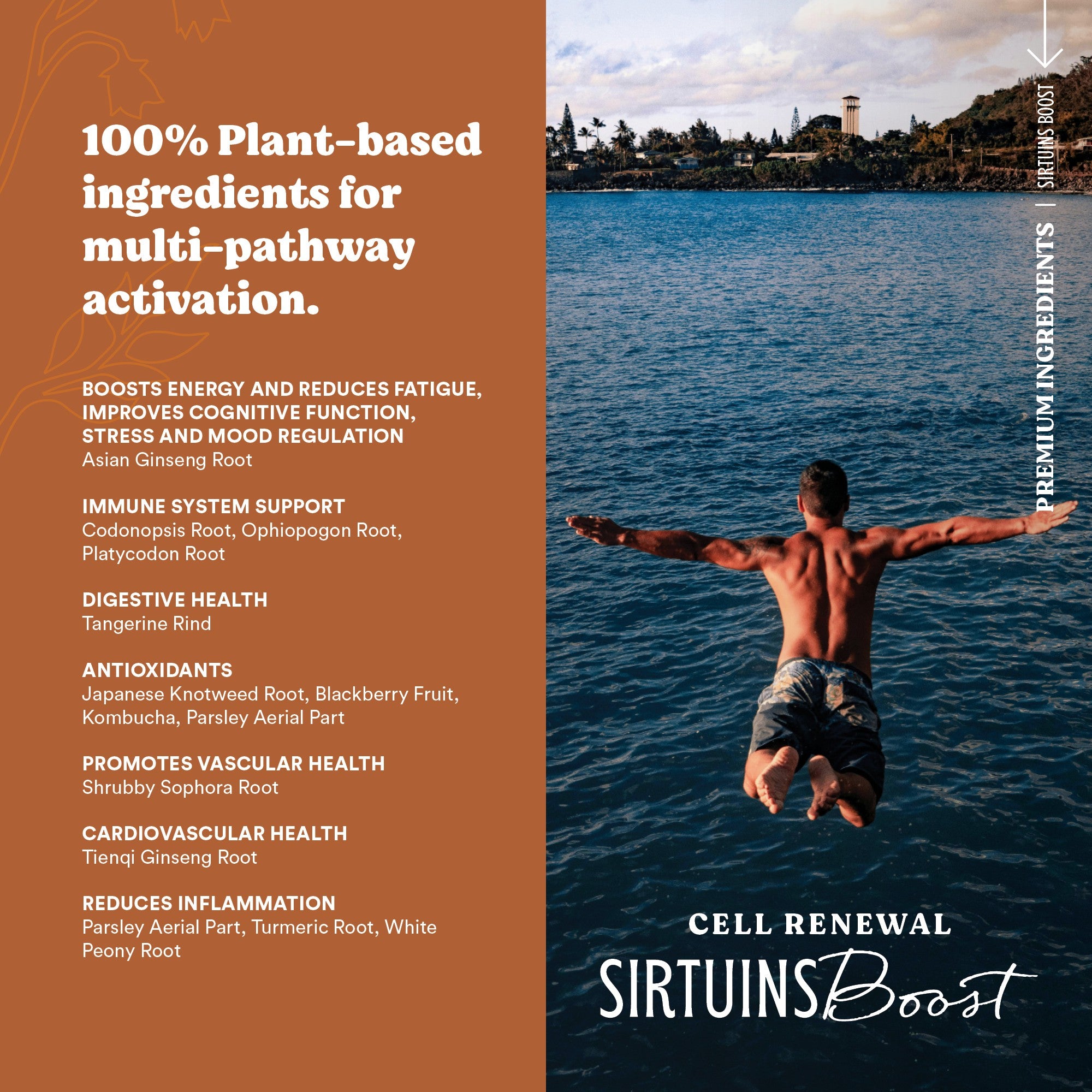Sirtuin Boost – Cellular Health & Anti-Aging Capsules