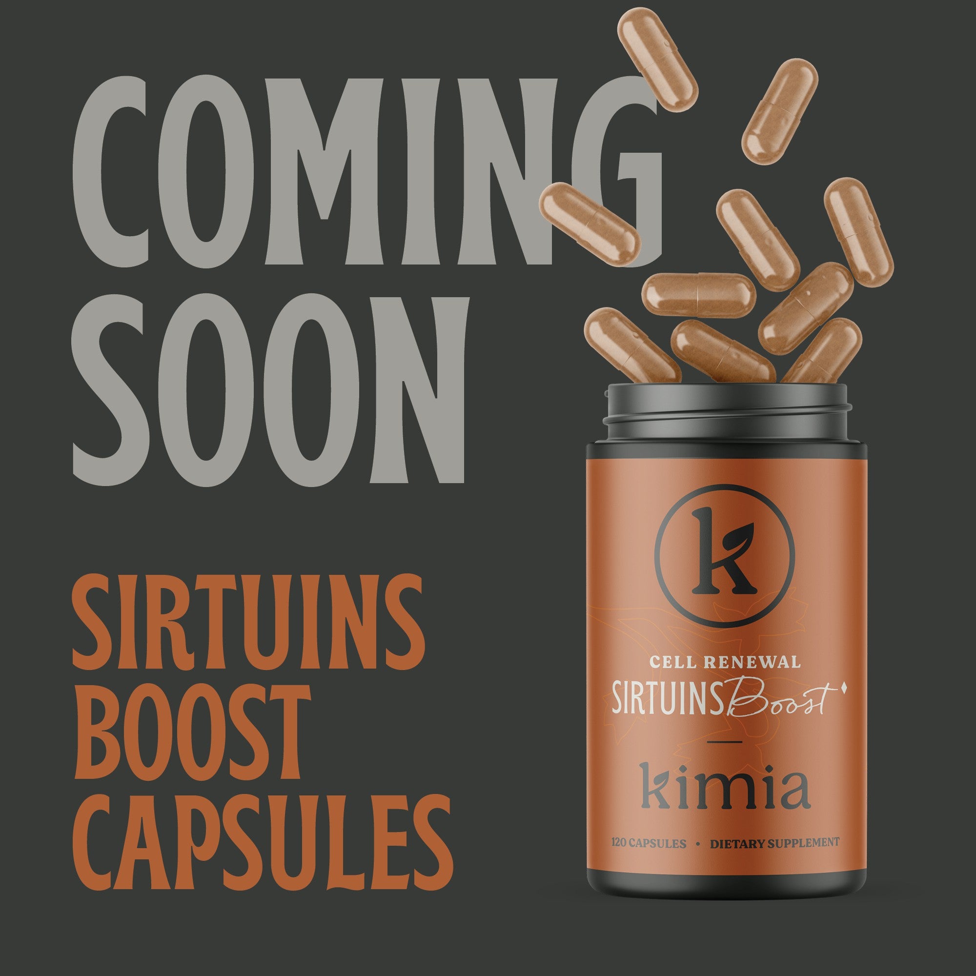 Sirtuin Boost – Cellular Health & Anti-Aging Capsules